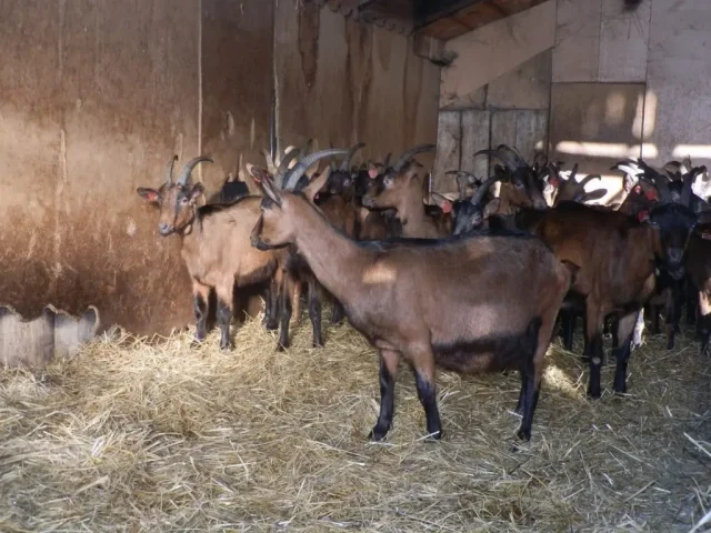 Održana je godišnja skupština